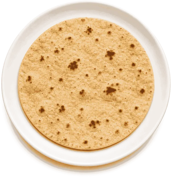 A single fresh roti on a plate